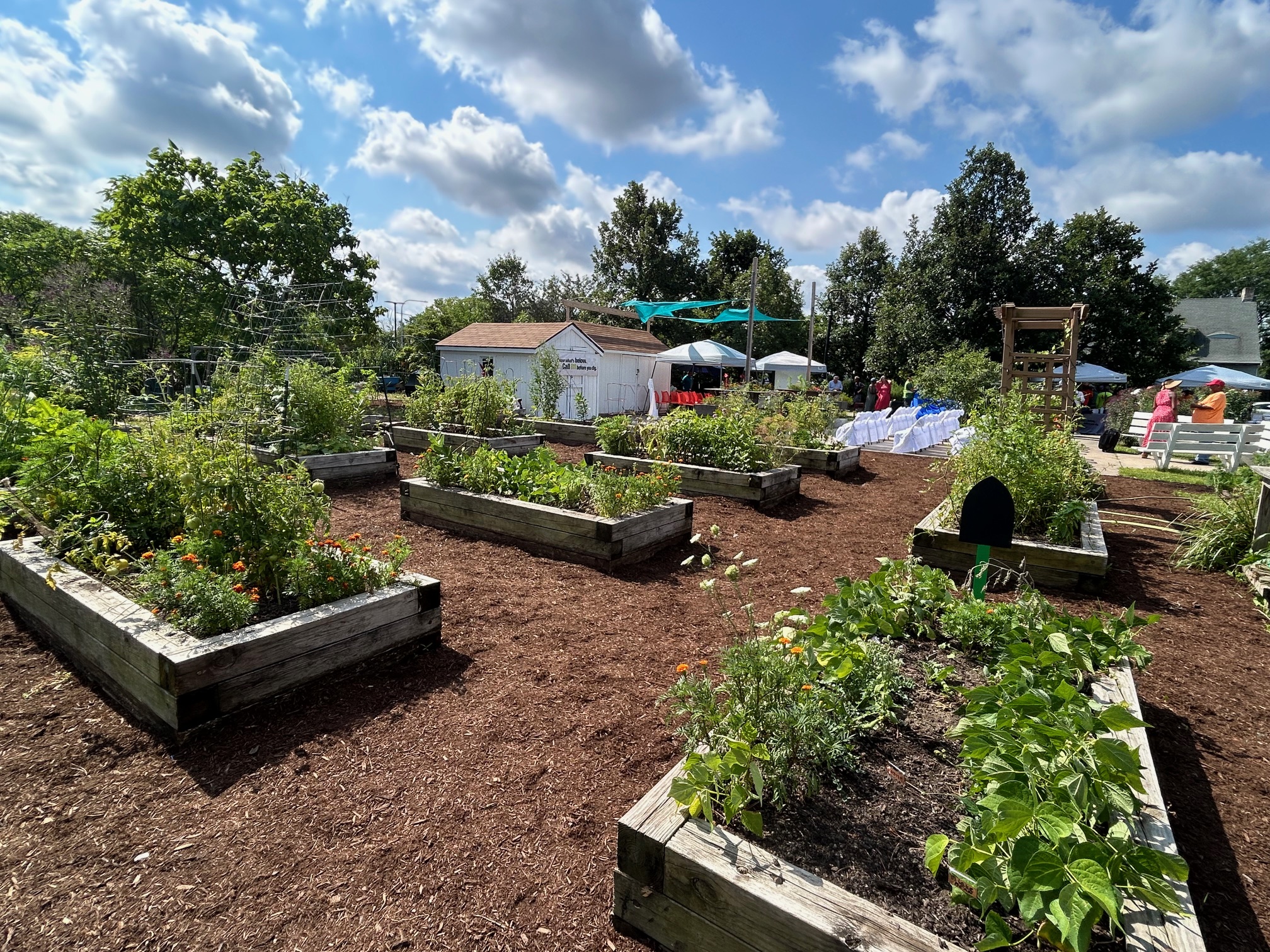 Vegetable garden at Edna White Community Garden